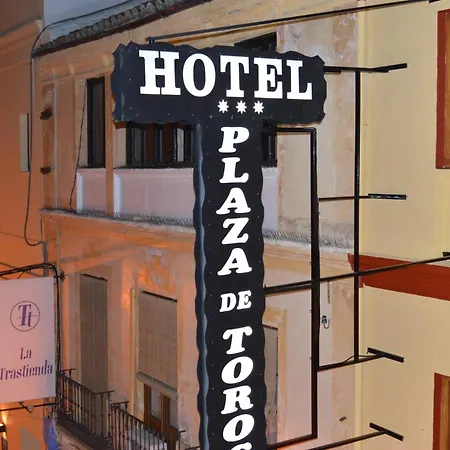 Отель Plaza De Toros 3*